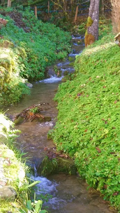 Holiday home Le Pidro - A Family House With Private Stream And Woodland Villa Castelnau-Durban