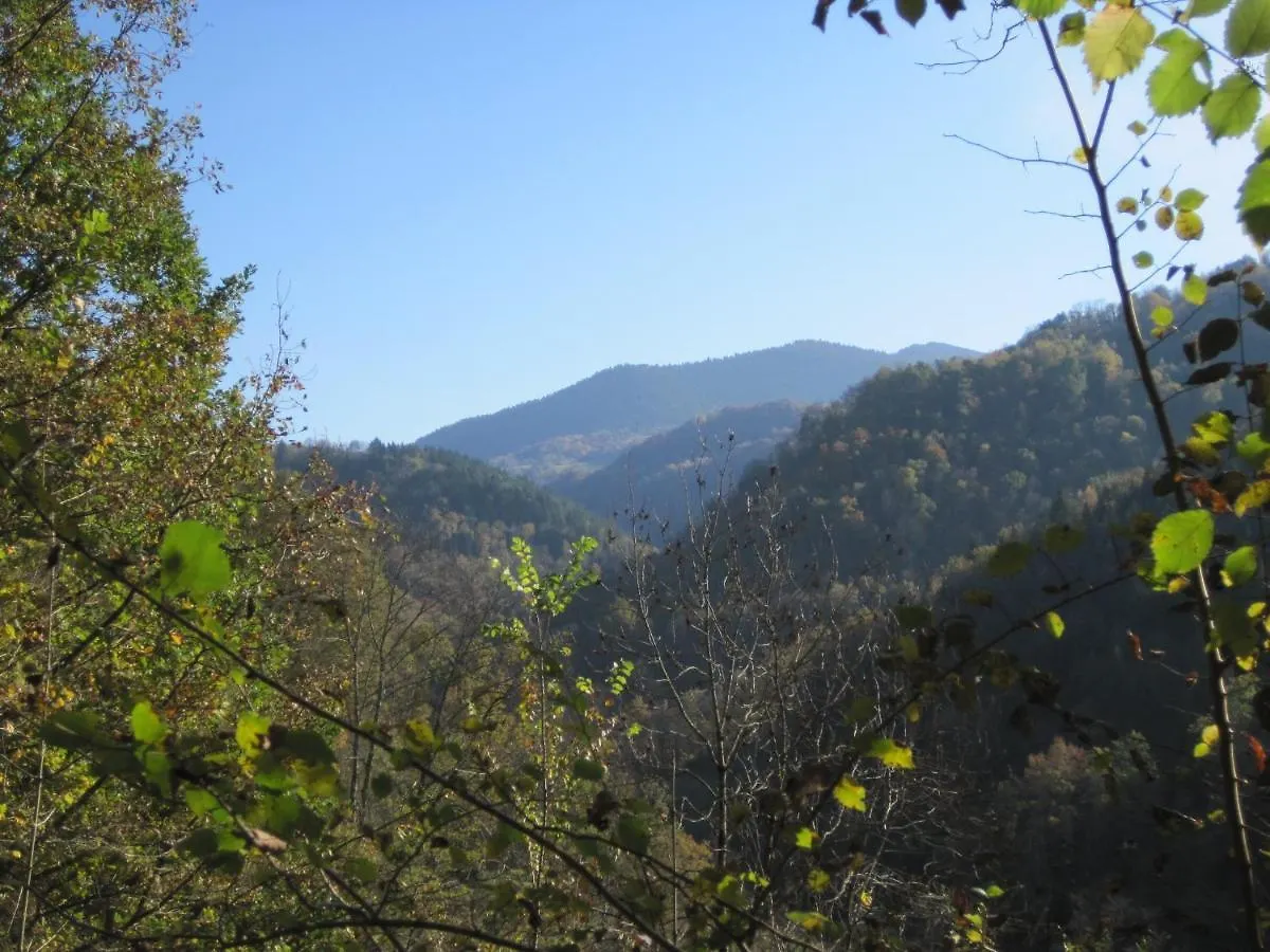 Le Pidro - A Family House With Private Stream And Woodland Villa Castelnau-Durban France