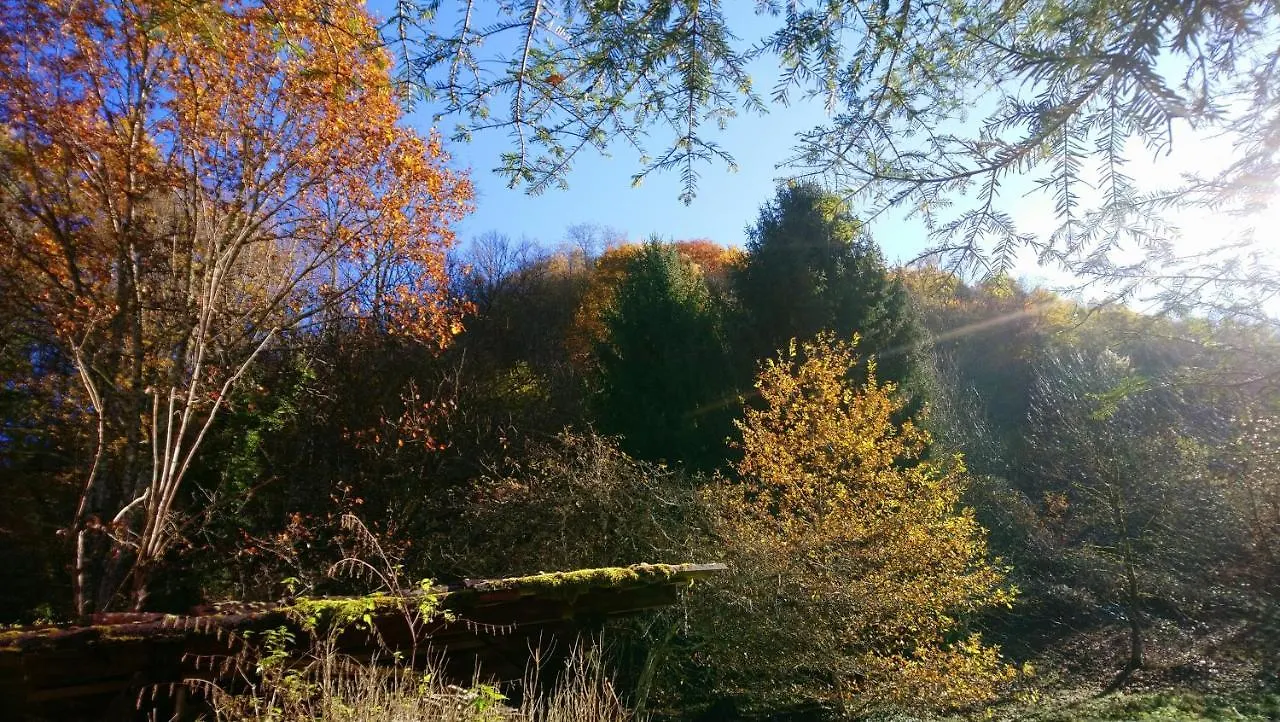 Holiday home Le Pidro - A Family House With Private Stream And Woodland Villa Castelnau-Durban